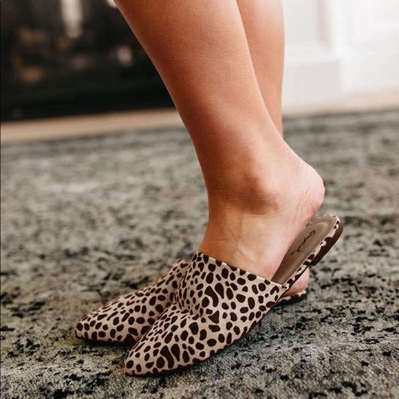 No Brand Shoes - Leopard Flat Mules